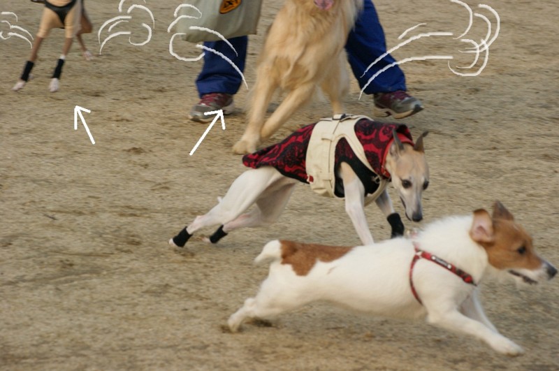 f:id:joju8:20120224164225j:image:w500