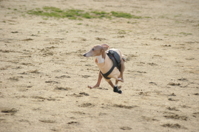 f:id:joju8:20120224164626j:image:w400