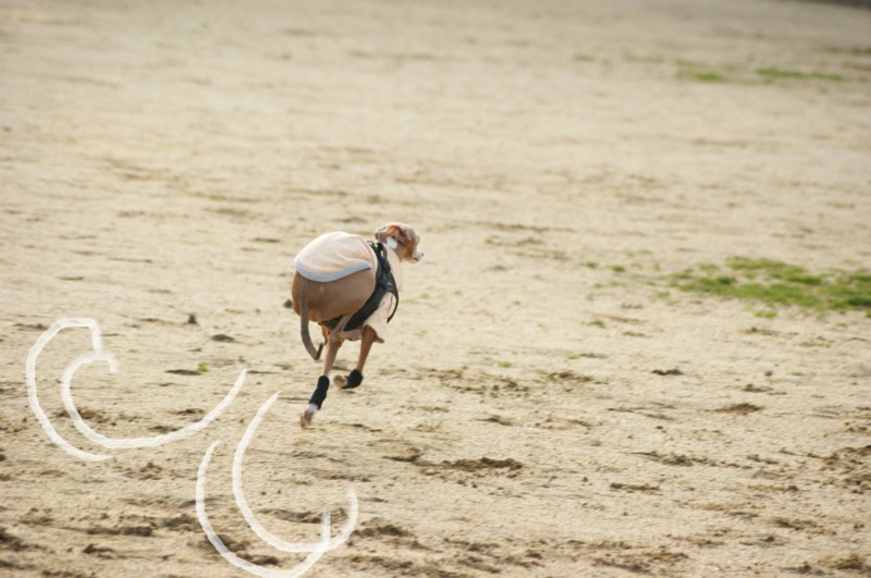 f:id:joju8:20120224164638j:image:w500