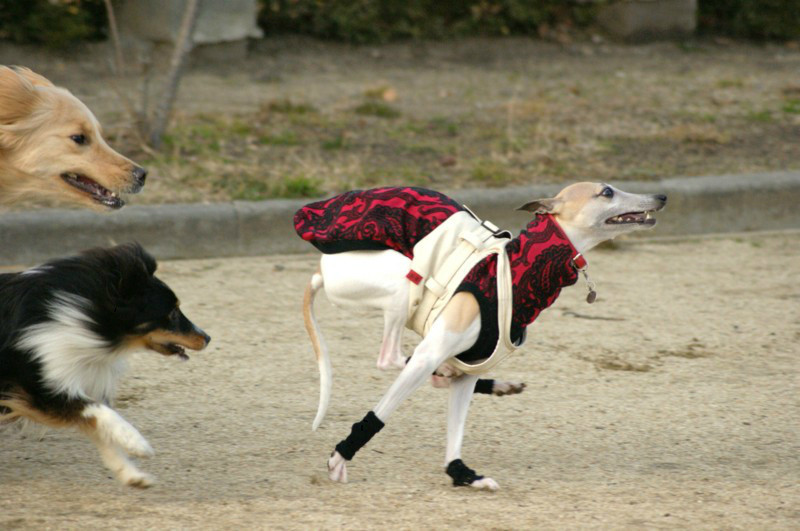 f:id:joju8:20120225205450j:image:w550