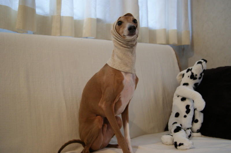 f:id:joju8:20120228163723j:image:w500