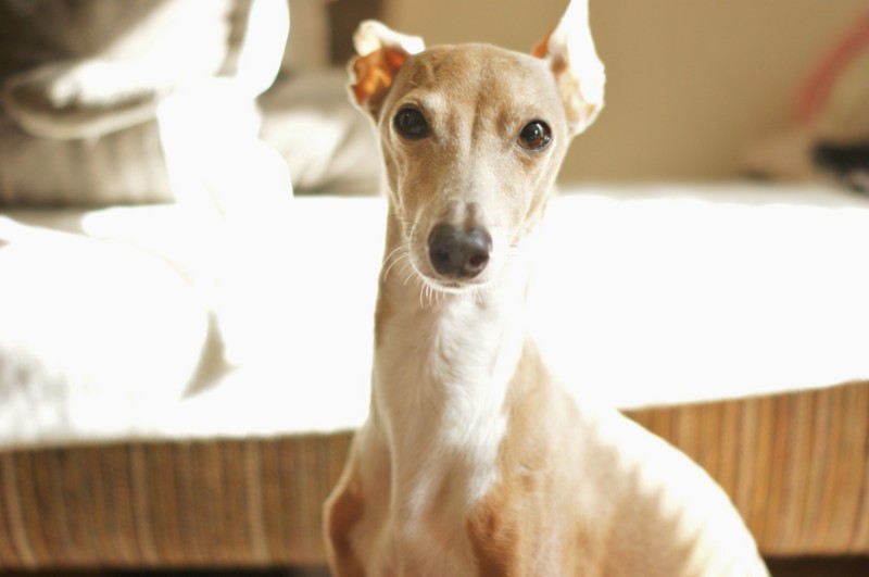 f:id:joju8:20120312094550j:image:w500