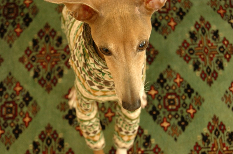 f:id:joju8:20120405120046j:image:w500