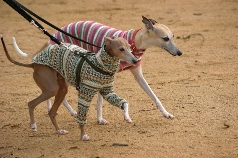 f:id:joju8:20120405170254j:image:w500