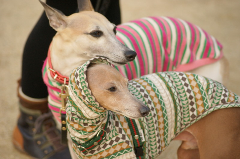 f:id:joju8:20120405171130j:image:w500