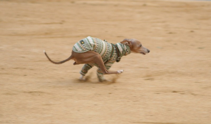 f:id:joju8:20120405172839j:image:w500