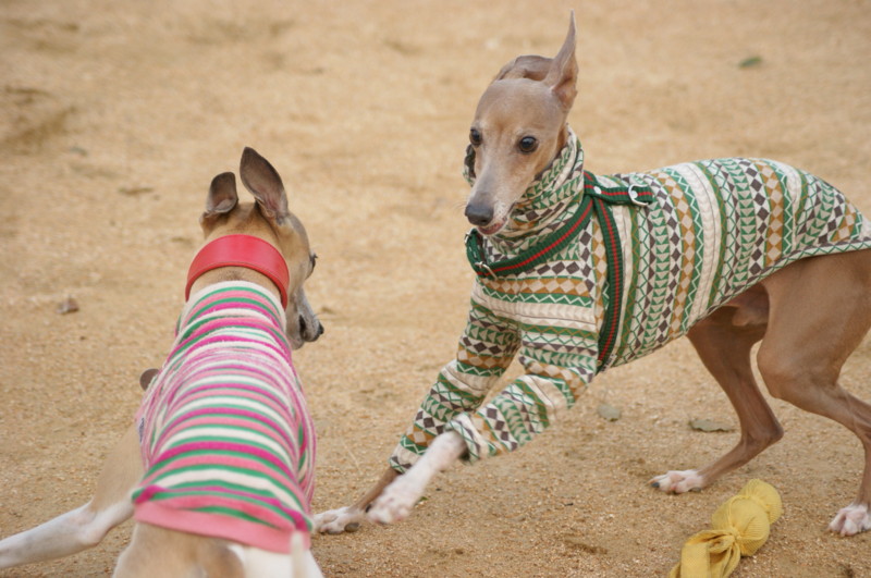 f:id:joju8:20120405172853j:image:w500