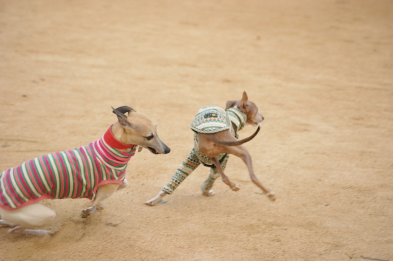 f:id:joju8:20120405172857j:image:w500