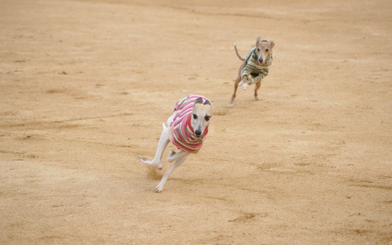 f:id:joju8:20120405172904j:image:w500