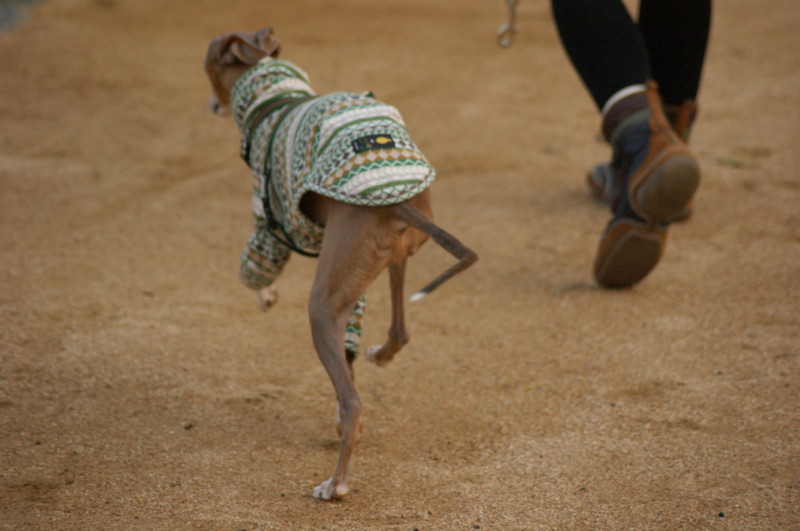 f:id:joju8:20120405173321j:image:w500