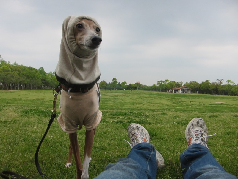 f:id:joju8:20120507130547j:image:w500 f:id:joju8:20120507130547j:image:w500