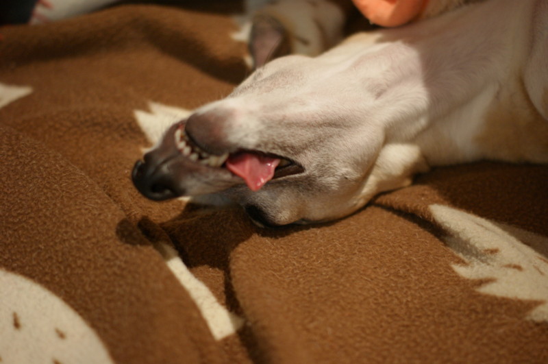 f:id:joju8:20120511004215j:image:w500 f:id:joju8:20120511004215j:image:w500