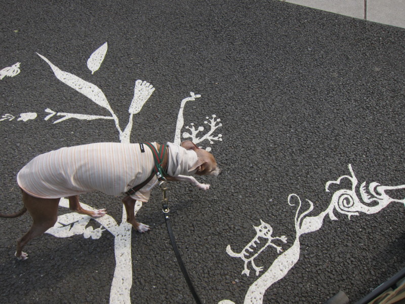 f:id:joju8:20120517154539j:image:w400 f:id:joju8:20120517154539j:image:w400