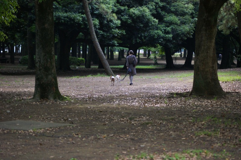 f:id:joju8:20120517155252j:image:w500 f:id:joju8:20120517155252j:image:w500