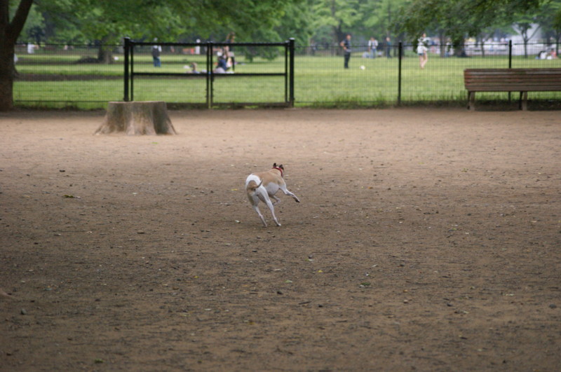 f:id:joju8:20120517161737j:image:w500 f:id:joju8:20120517161737j:image:w500