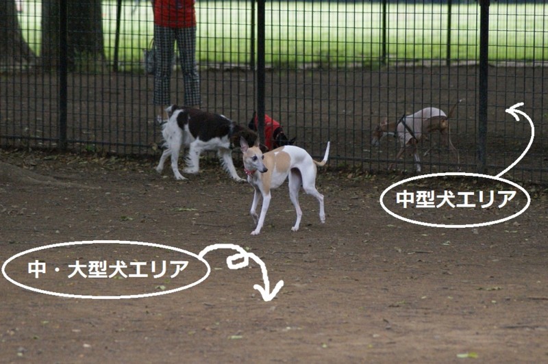 f:id:joju8:20120517162348j:image:w500 f:id:joju8:20120517162348j:image:w500