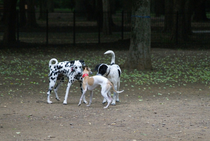 f:id:joju8:20120517162704j:image:w500 f:id:joju8:20120517162704j:image:w500