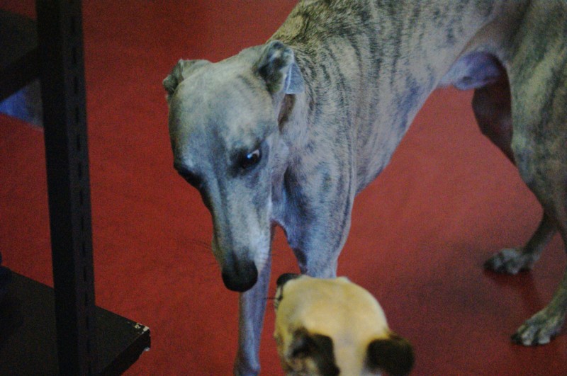 f:id:joju8:20120517172005j:image:w500 f:id:joju8:20120517172005j:image:w500