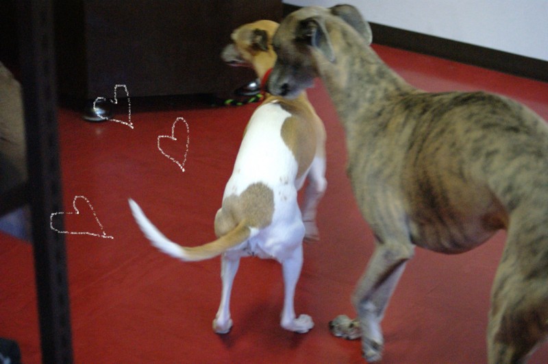 f:id:joju8:20120517172013j:image:w500 f:id:joju8:20120517172013j:image:w500