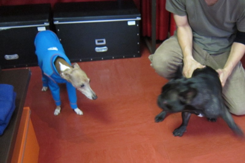 f:id:joju8:20120517172200j:image:w500 f:id:joju8:20120517172200j:image:w500