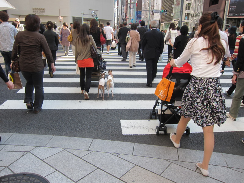 f:id:joju8:20120518151410j:image:w500 f:id:joju8:20120518151410j:image:w500