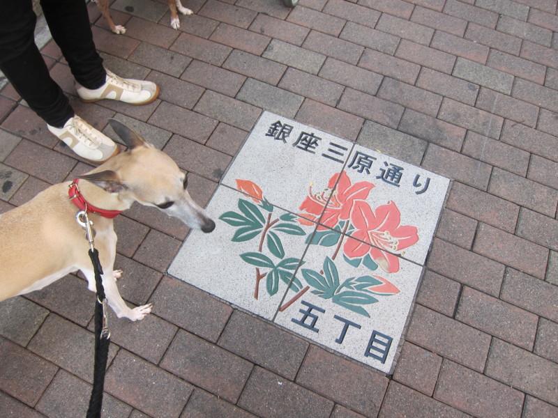 f:id:joju8:20120518152847j:image:w500 f:id:joju8:20120518152847j:image:w500