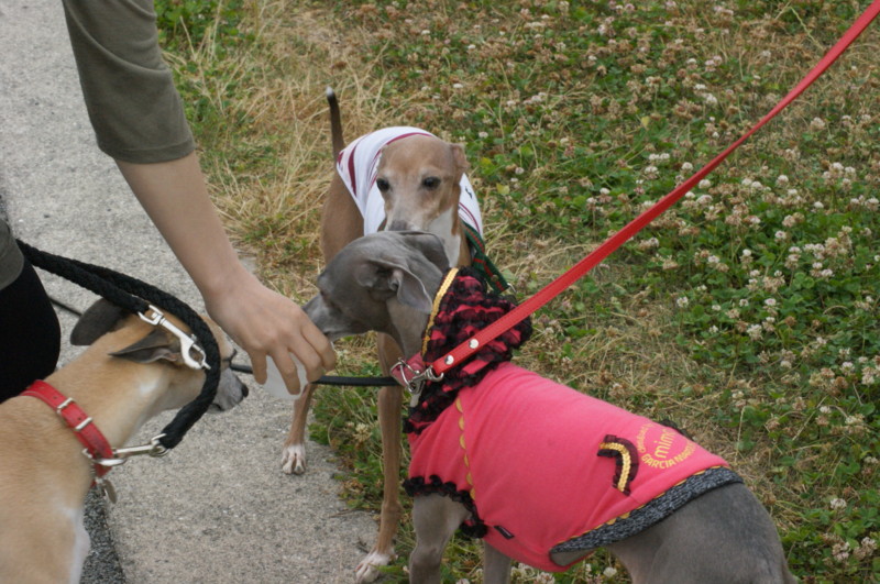 f:id:joju8:20120520164332j:image:w500