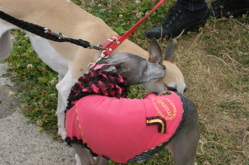 f:id:joju8:20120520164349j:image:w500