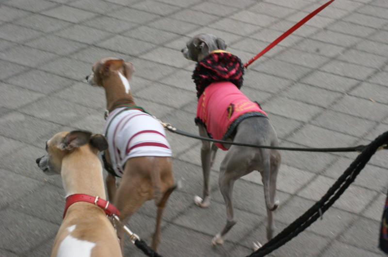 f:id:joju8:20120520164659j:image:w500