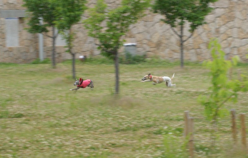 f:id:joju8:20120520165047j:image:w500