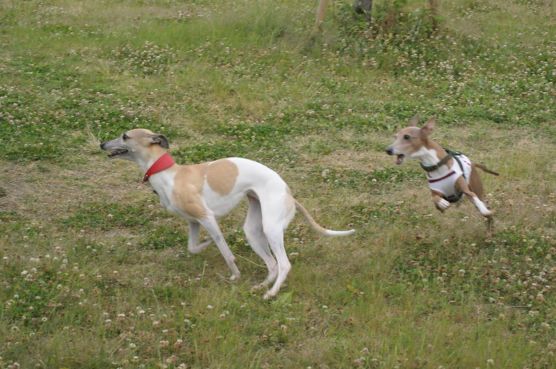 f:id:joju8:20120520165129j:image:w500