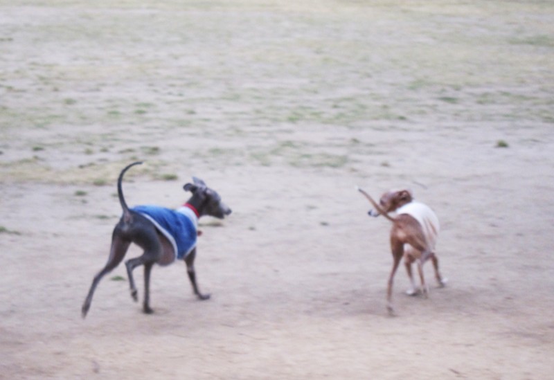 f:id:joju8:20120524180749j:image:w500