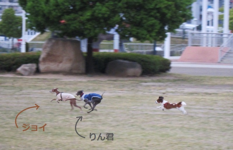 f:id:joju8:20120524180804j:image:w500