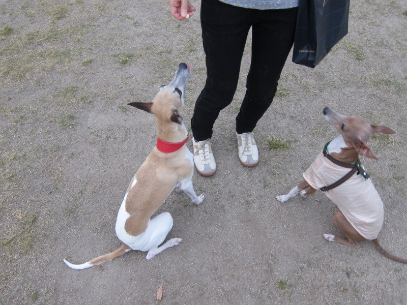 f:id:joju8:20120524181623j:image:w500