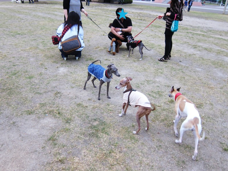 f:id:joju8:20120524181701j:image:w500