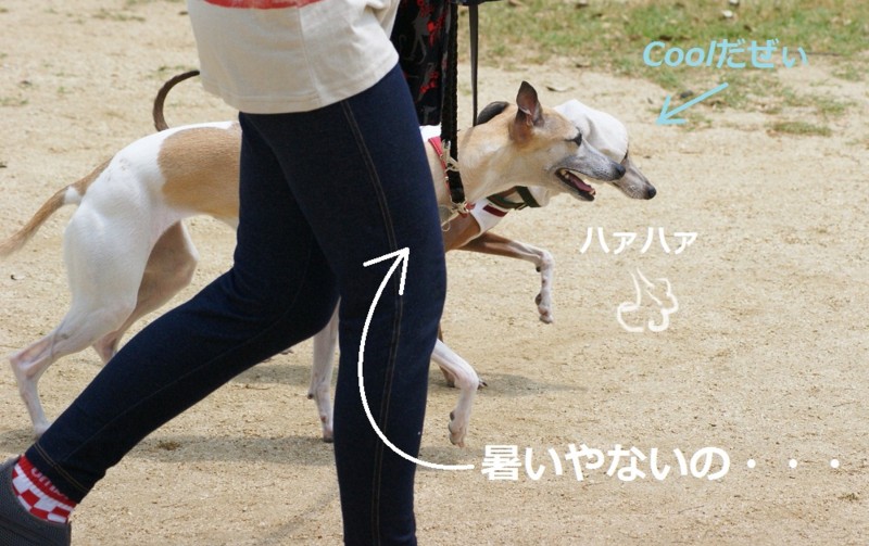 f:id:joju8:20120526123302j:image:w500