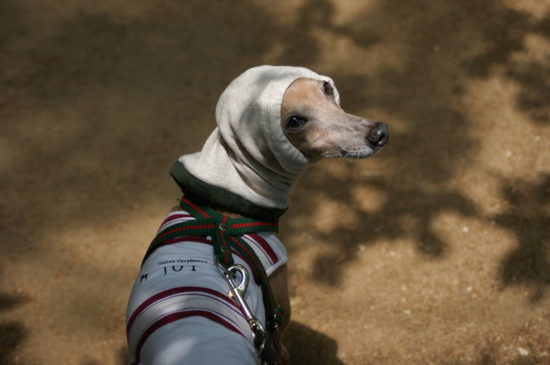 f:id:joju8:20120526124157j:image:w500