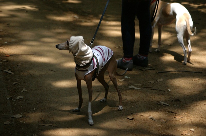 f:id:joju8:20120526124711j:image:w500