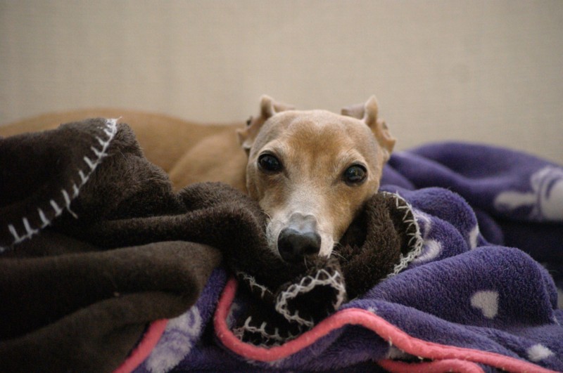 f:id:joju8:20120607101423j:image:w500 f:id:joju8:20120607101423j:image:w500