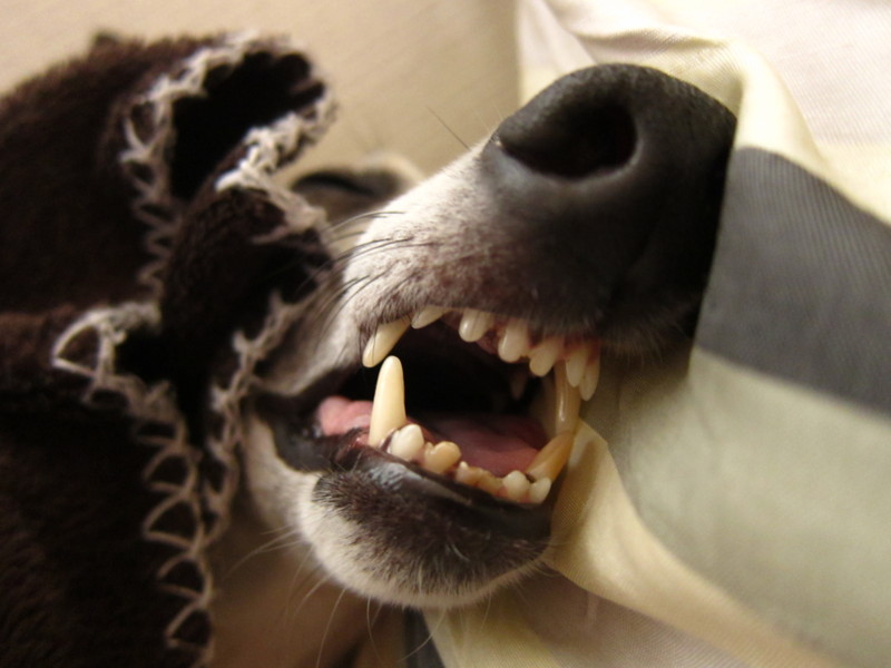 f:id:joju8:20120607151345j:image:w500 f:id:joju8:20120607151345j:image:w500