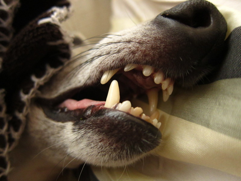 f:id:joju8:20120607151354j:image:w500 f:id:joju8:20120607151354j:image:w500