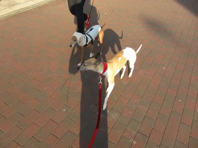 f:id:joju8:20120607173728j:image:w400 f:id:joju8:20120607173728j:image:w400