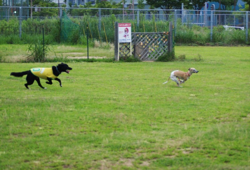 f:id:joju8:20120714174929j:image:w400