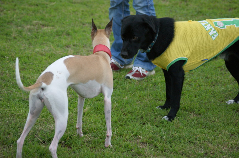 f:id:joju8:20120714175341j:image:w400