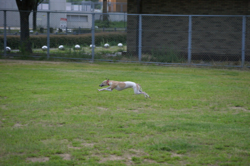 f:id:joju8:20120714175445j:image:w400