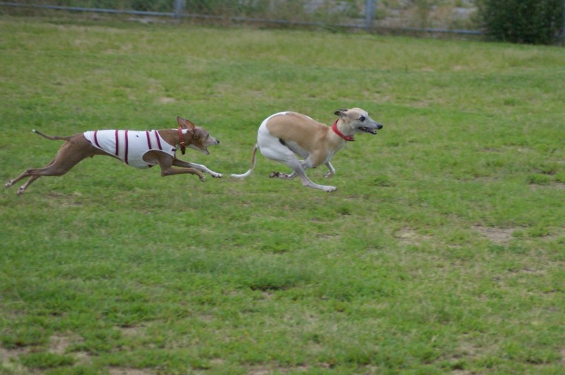 f:id:joju8:20120714175508j:image:w400