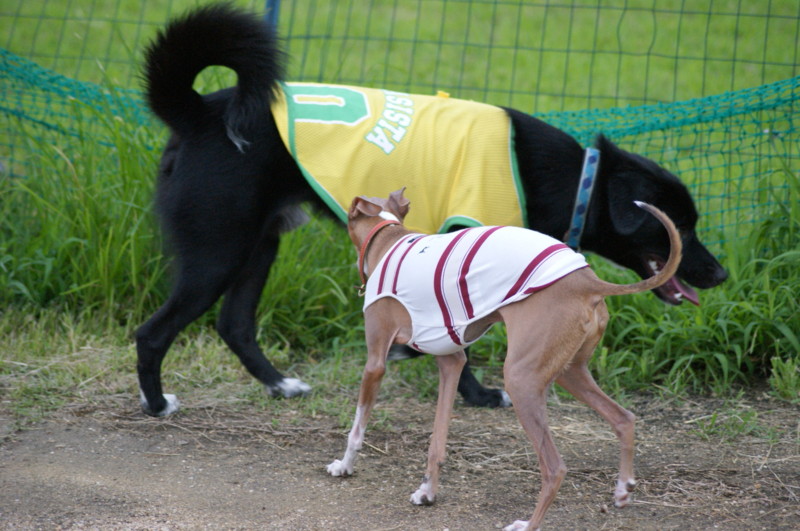 f:id:joju8:20120714180720j:image:w500