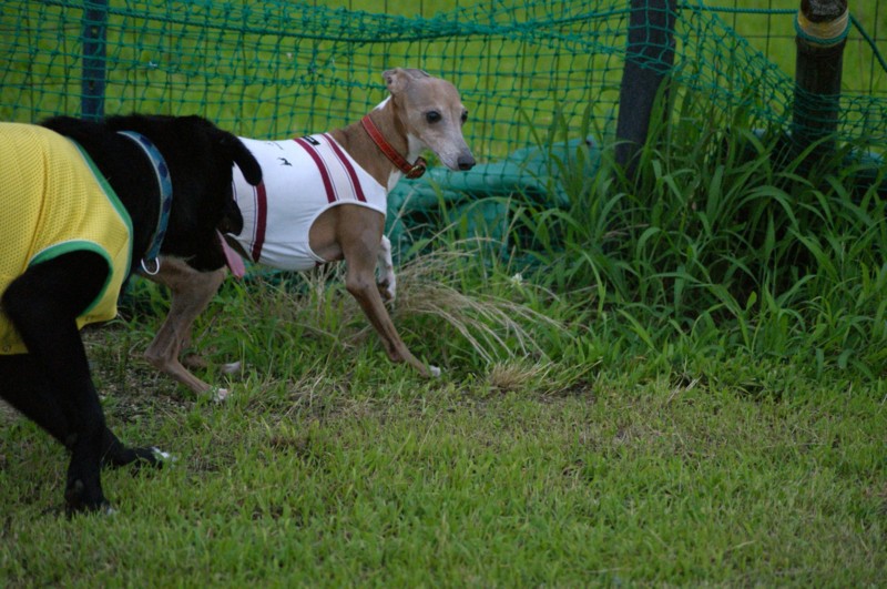 f:id:joju8:20120714180757j:image:w500