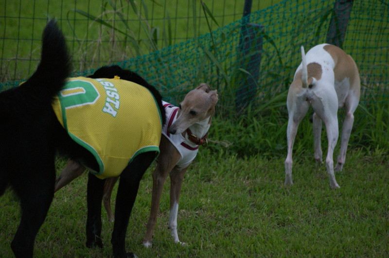 f:id:joju8:20120714180801j:image:w500