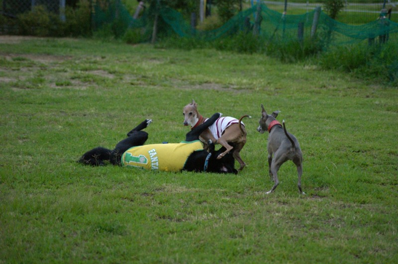 f:id:joju8:20120714180903j:image:w500